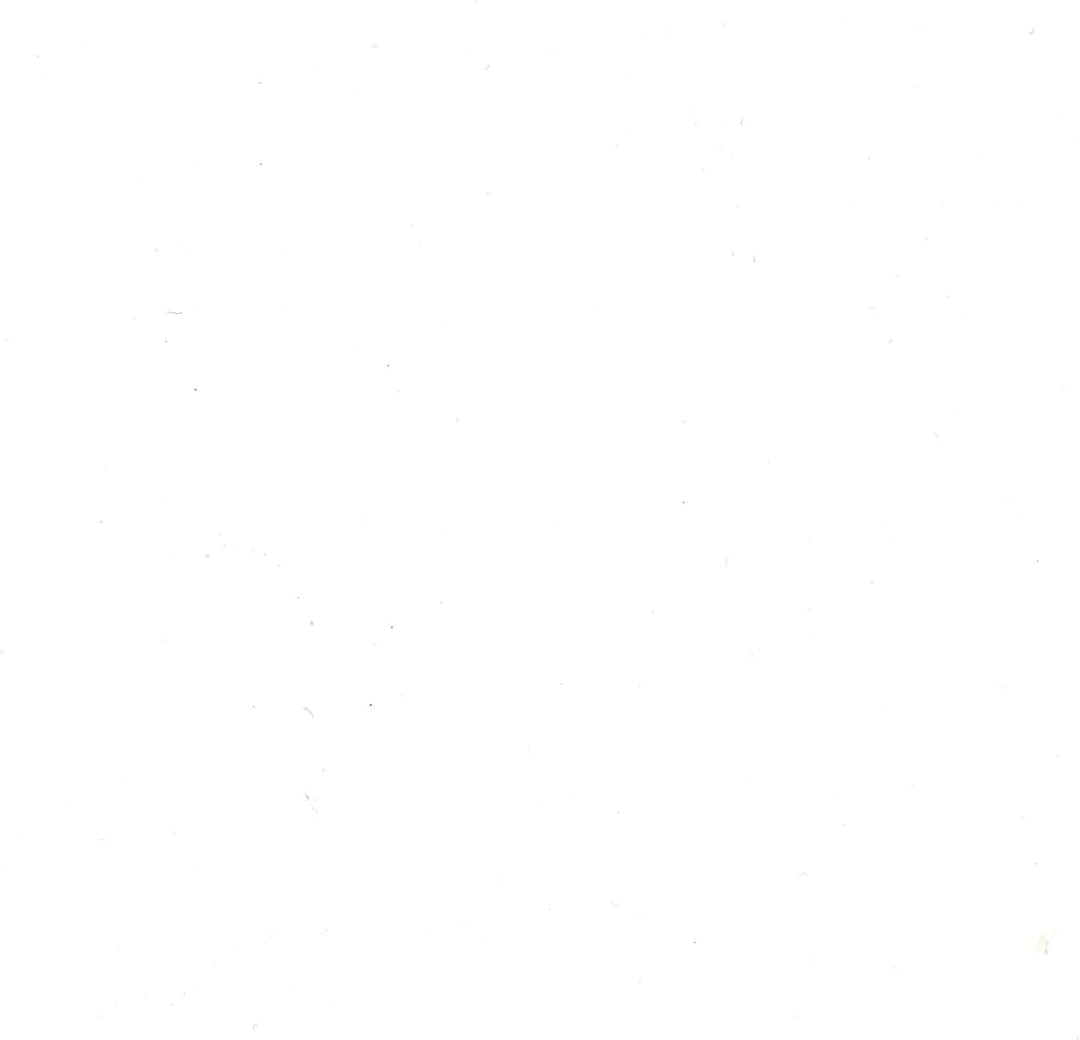 Pébéo - Colorex Tinte 1 L Weiss - Colorex Aquarell Tinte Pébéo - Weiss Tinte mit samtigem Finish - Z