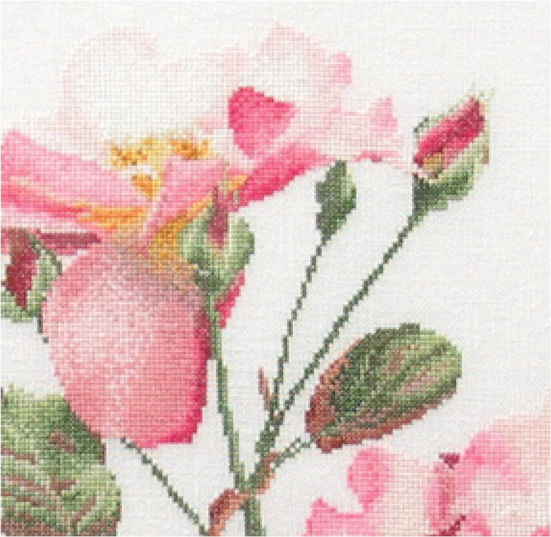 Thea Gouverneur - Kreuzstich-Set - Rosa Leersum - Aida - 18 Count - Für Erwachsene - 412A 412A White