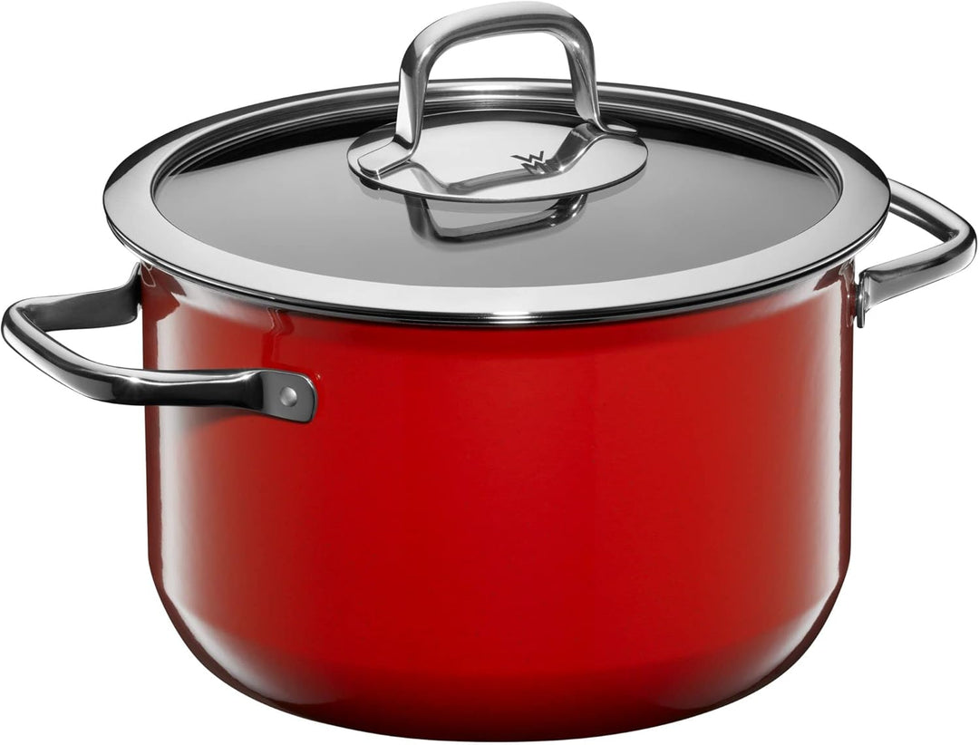 WMF Fusiontec Mineral Kochtopf gross 22 cm, Glasdeckel, Fleischtopf Induktion 4,7l, High-Tech Kerami