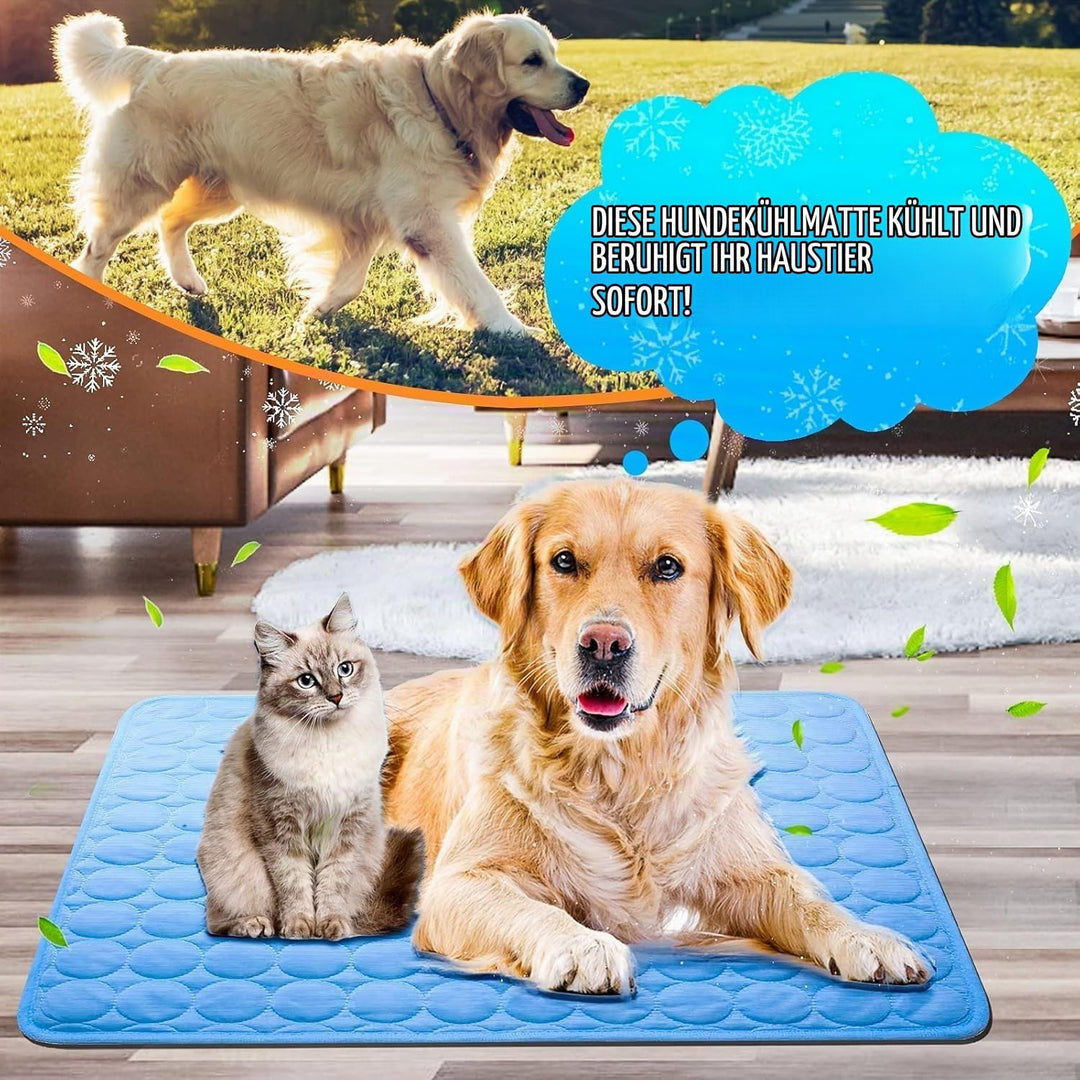 Kühlmatte Hunde, 70×55 cm Pet Cooling Mat, Kühldecke für Tiere, Abwischbar, Robust, Kühlmatte für Hu