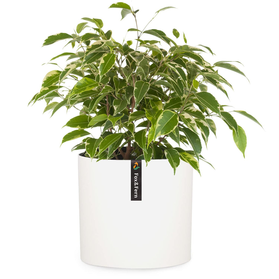 Fox&amp;Fern Blumentopf L - 27cm grosser Übertopf inklusive Wasserabfluss für Pflanzen im Aussen- &amp; Inne