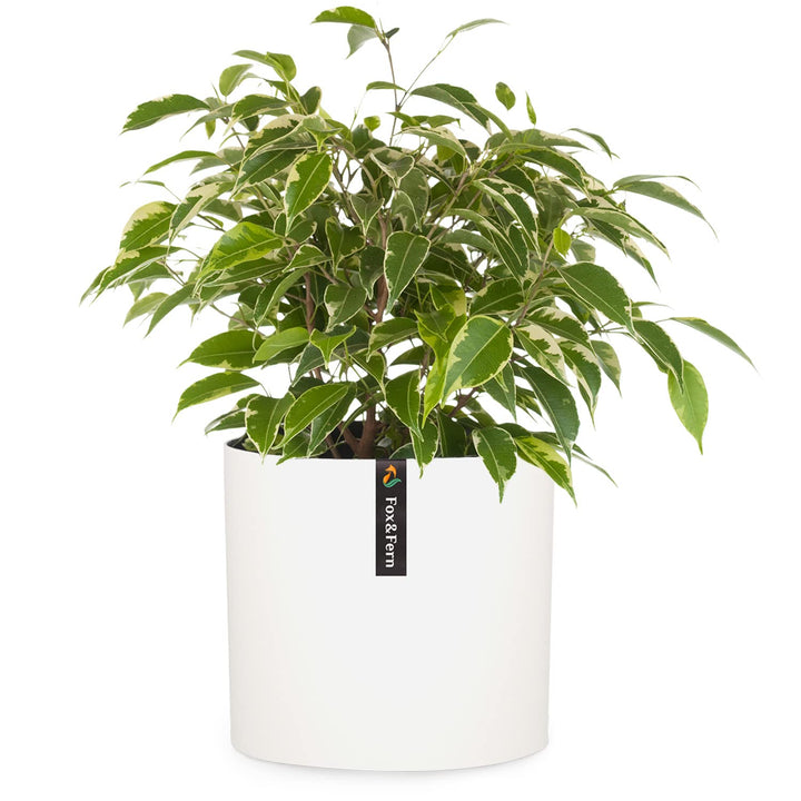 Fox&amp;Fern Blumentopf L - 27cm grosser Übertopf inklusive Wasserabfluss für Pflanzen im Aussen- &amp; Inne