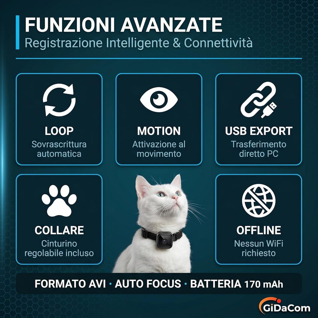 Mini-Kamera, tragbar, Full HD, 1080p, für Hunde und Katzen, Infrarot-Nachtsicht, SD-Aufzeichnung, ve
