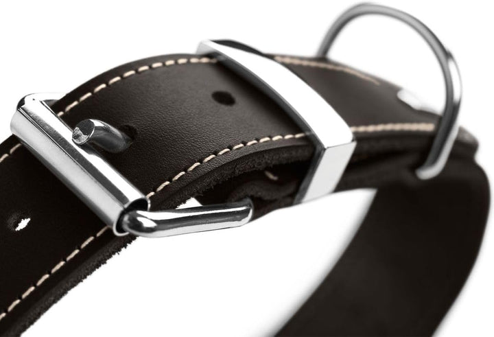 HUNTER AALBORG SPECIAL Hundehalsband, Leder, strapazierfähig, komfortabel, 60 (M-L), schwarz schwarz