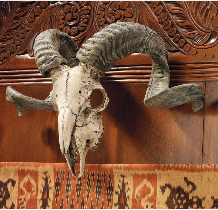 Design Toscano Wandtrophäe Korsischer Widder Schädel und Hörner, Masse: 47 x 18 x 29 cm