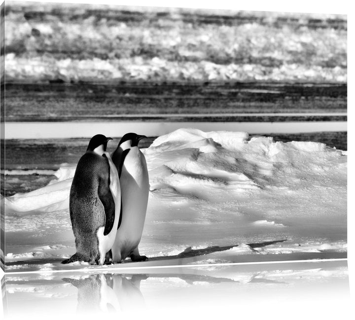 Pixxprint Monocrome, Zwei Kaiserpinguine auf Eisscholle, Format: 100x70 auf Leinwand, 100x70