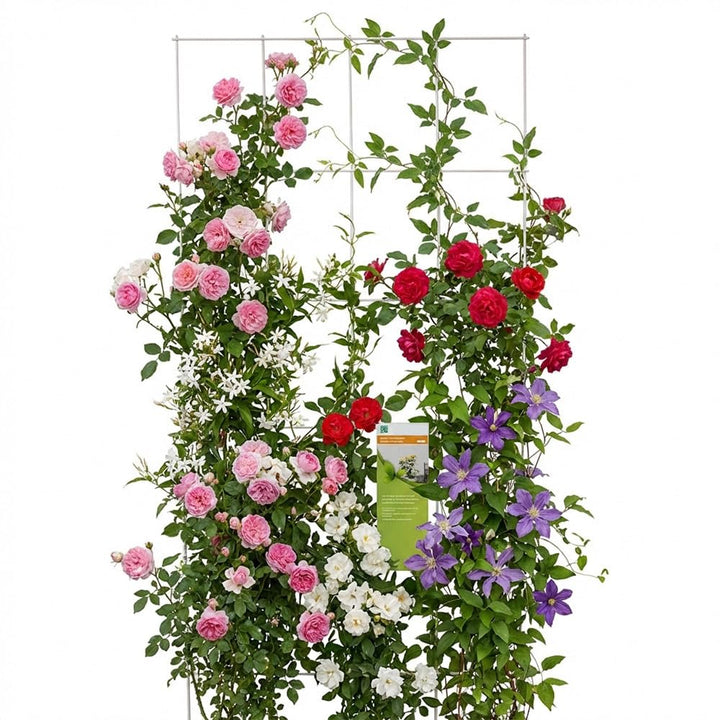 Gitterspalier Metall 150 x 75 cm Rankhilfe weiss, Kletterhilfe für Pflanzen, Rosen &amp; Rankpflanzen, i