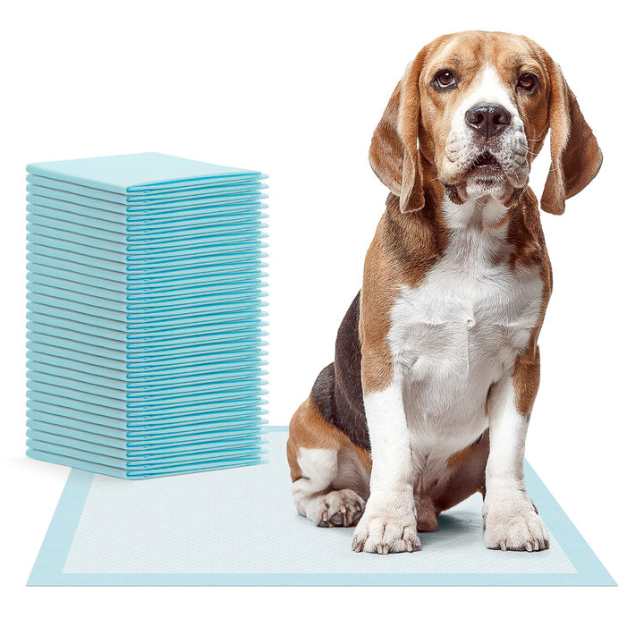 30x ARNOMED® Welpen Unterlagen 60x60cm, Saugfähige PIPI Matten für Hunde &amp; Welpen, Puppy &amp; Dog Pads,