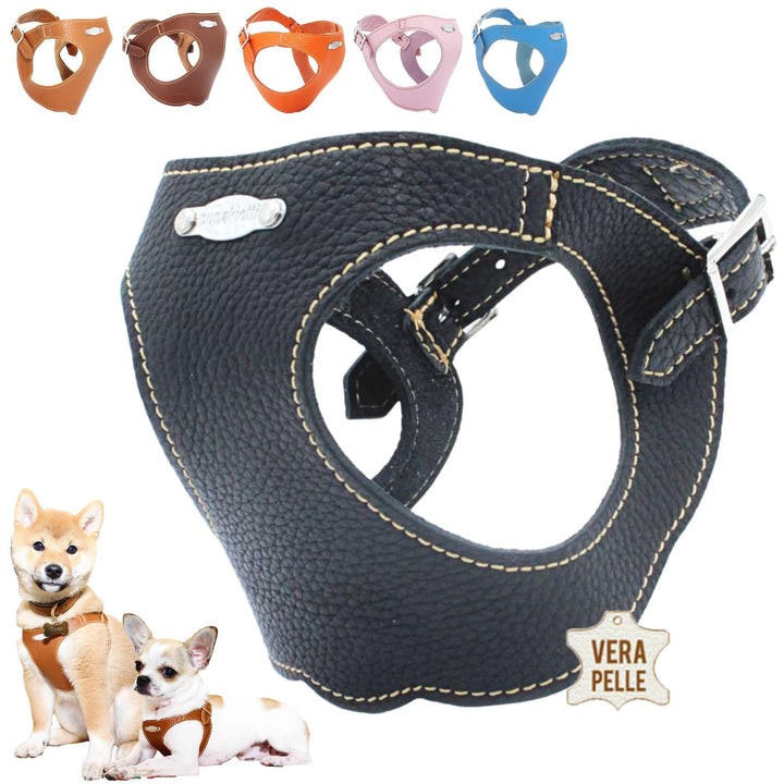 PUPAKIOTTI Brustgeschirr für kleine und mittelgrosse Hunde, Leder-Hundegeschirr, ergonomisch und ver