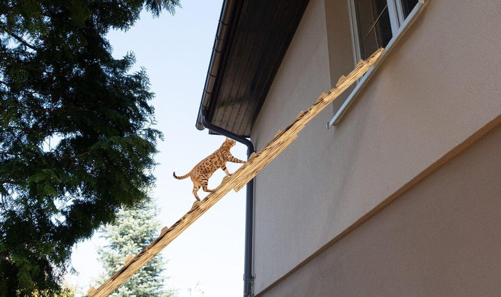 Katzenleiter Katzentreppe Geflammt Katzenstufe für Balkon 2m ohne Befestigung