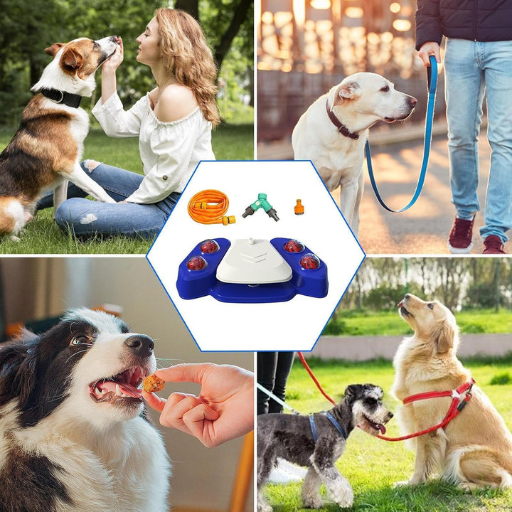 Wasserbrunnen für den Aussenbereich, zum Aufsteigen – Pfotenaktivierter Hunde-Wasserspender, für Som