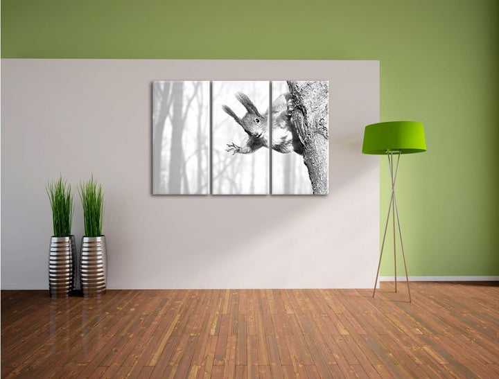 Pixxprint Neugierig rotes Eichhörnchen Kunst B&W 3-Teiler Leinwandbild 120x80 Bild auf Leinwand