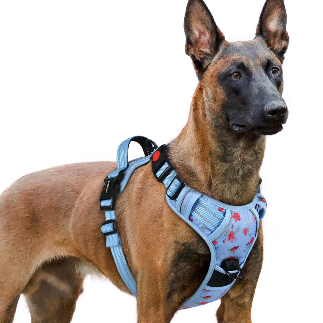 rabbitgoo Hundegeschirr Grosse Hunde, Verstellbare Geschirr Hund ohne Zug &amp; Würgen, Anti Zug Hundege