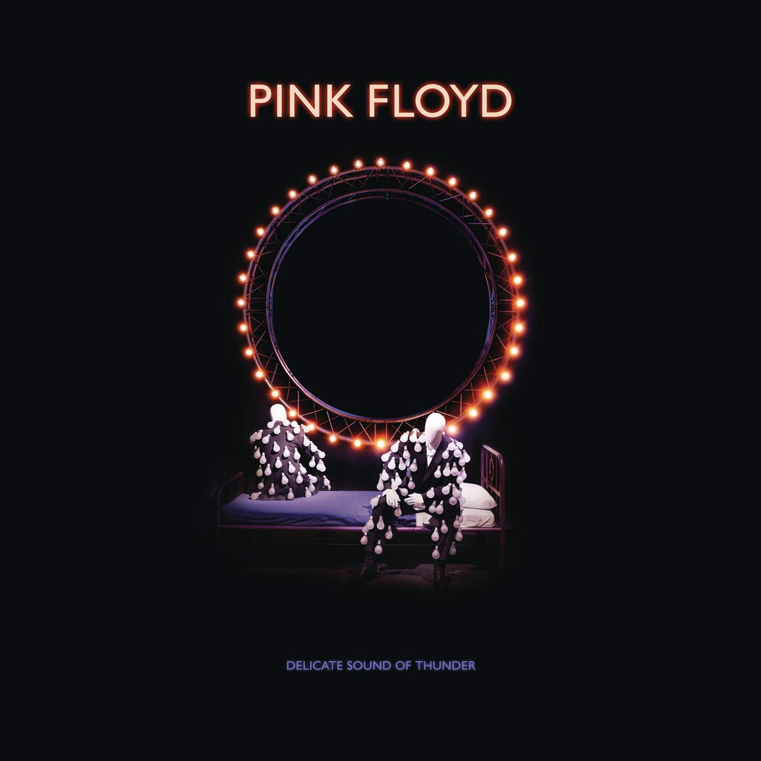Delicate Sound Of Thunder Deluxe, Audio-CD