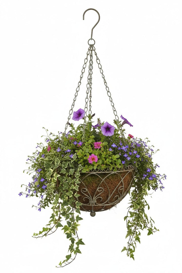 LB H&F Lilienburg Blumenampel Hängekorb Metall (Ø 30 cm), Ø 30 cm