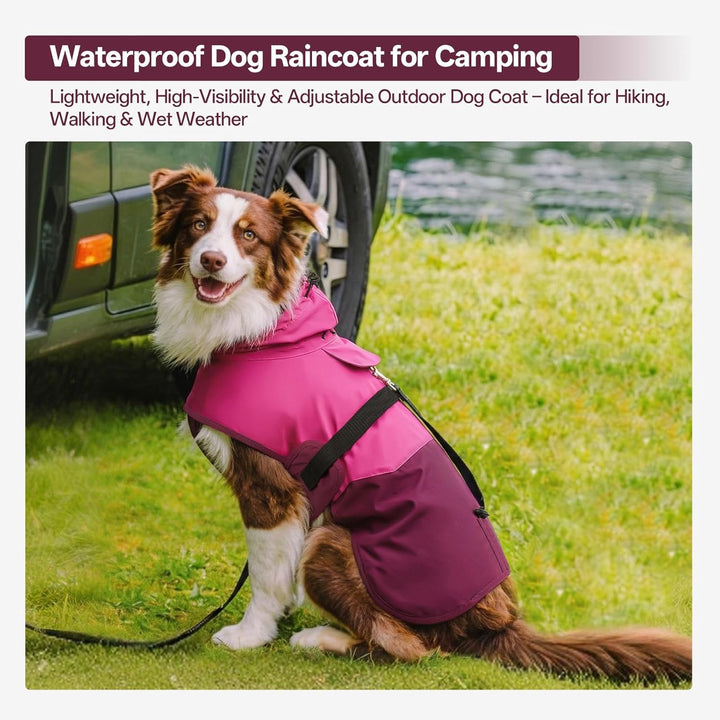 Hunde-Regenmantel für mittelgrosse Hunde mit Kapuze, wasserdicht, reflektierend, mit verstellbarem K