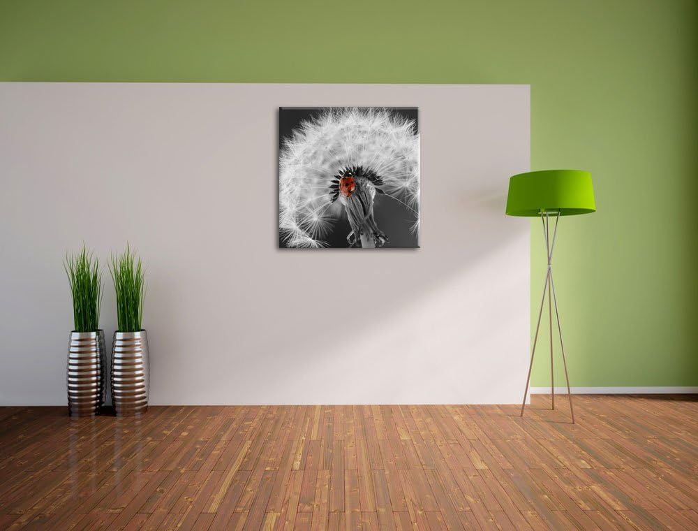 Pixxprint schöner Marienkäfer auf Pusteblume schwarz/weiss, Format: 70x70 auf Leinwand, 70x70