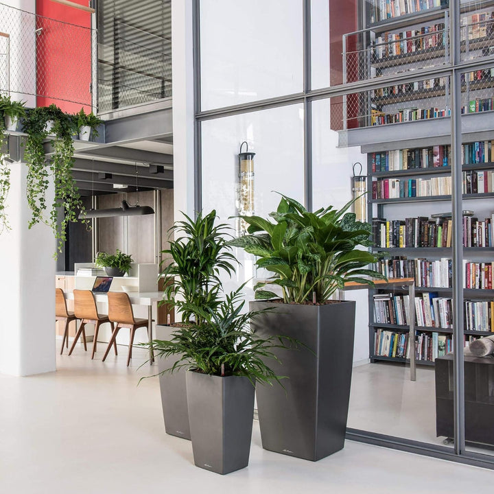 LECHUZA CUBICO Premium 30 weiss hochglanz 18181 29.5x29.5x56.5 cm Weiss Hochglanz, 29.5x29.5x56.5 cm