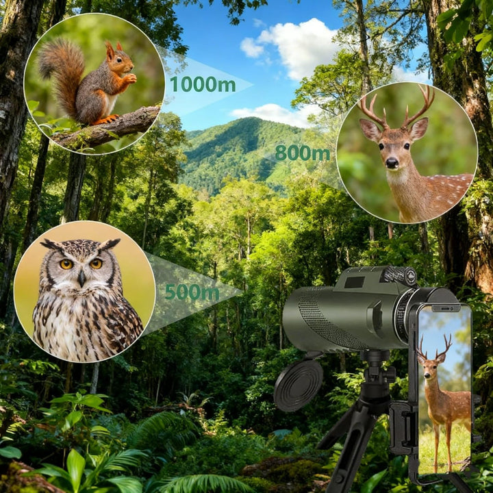 Mengshen 8x40 Monokular Teleskop Komplett-Set inkl. Handy Adapter Stativ für Digiskopie Outdoor Aben