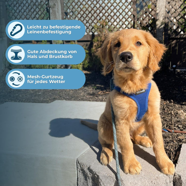 Voyager Step-In Air Hundegeschirr by Best Pet Supplies - All Weather Mesh Step in Vest Harness für k