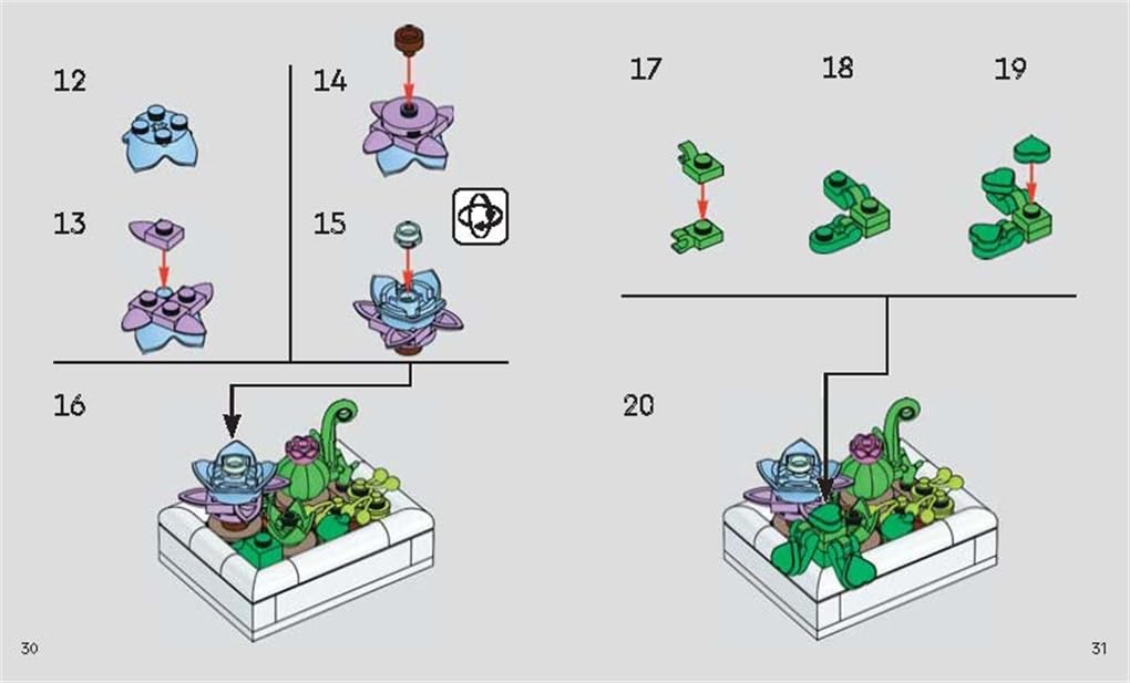 LEGO® Botanicals™: Tiny Desert Garden, Gebundenes Buch