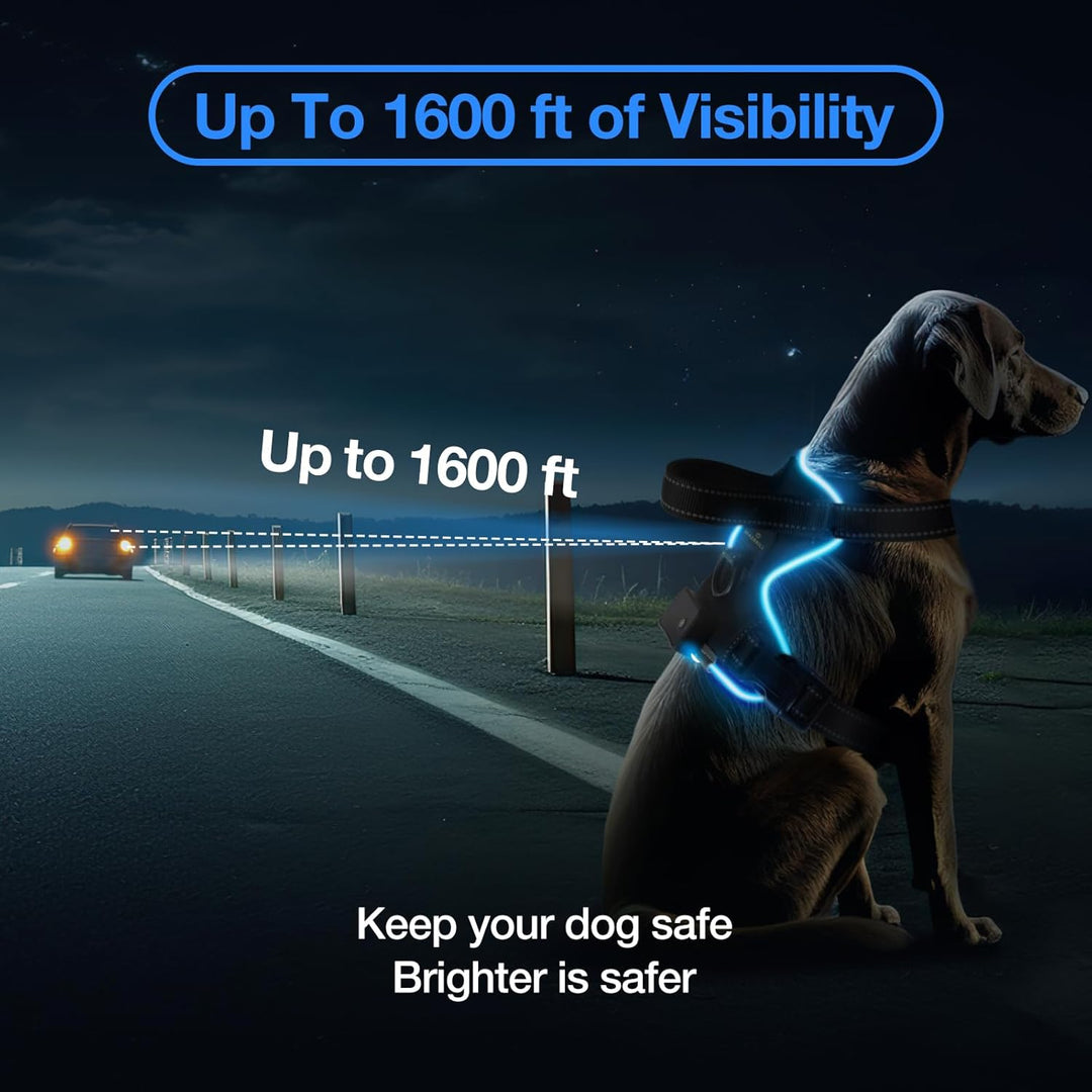 MASBRILL Hundegeschirr Leuchtend Aufladbar, LED Verstellbar Reflektierend mit Griff, Weich Gepolster
