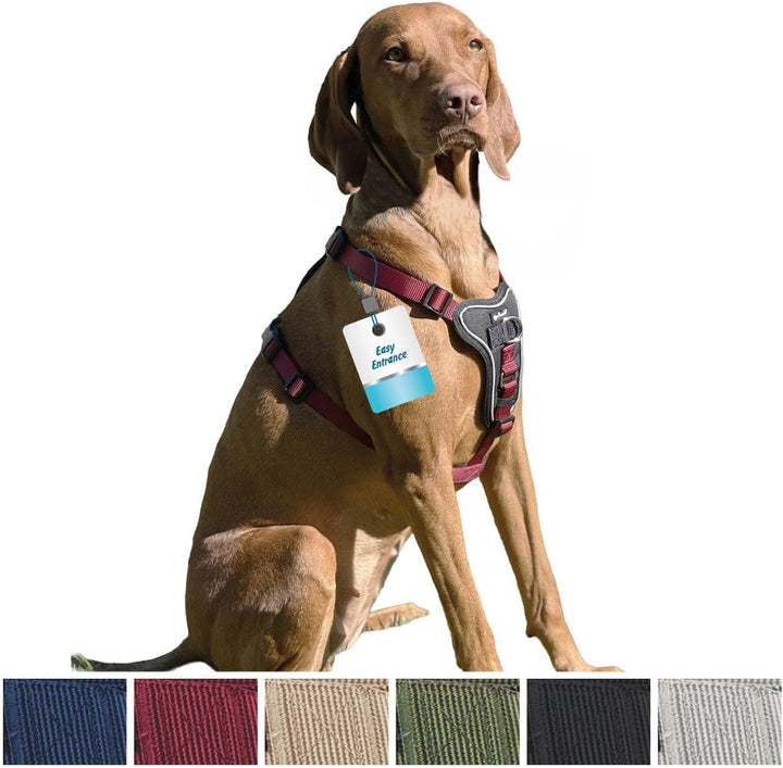 Petlando Hundegeschirr Anti Zug, Basic Comfort Plus, Bordeaux, M | Vertikaler Brust-D-Ring, Ohne Übe