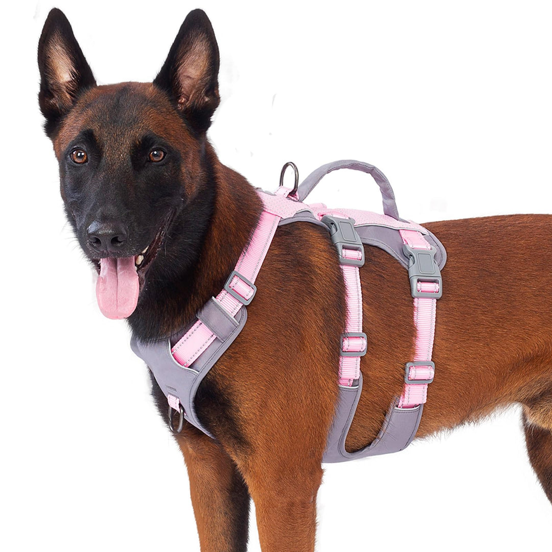 Huntboo Sicherheitsgeschirr Hund Ausbruchsicher, Panikgeschirr für Hunde, Reflektierendes Geschirr H