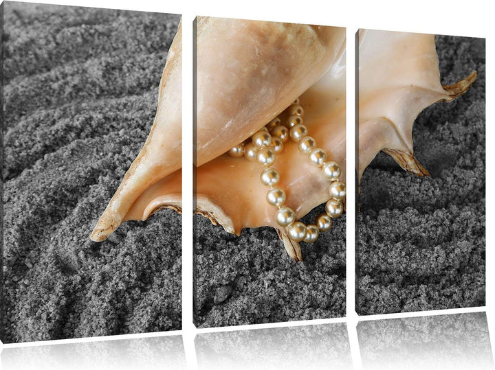 Muschel mit Perlenkette im Sand schwarz/weiss 3-Teiler Leinwandbild 120x80 Bild auf Leinwand, XXL ri
