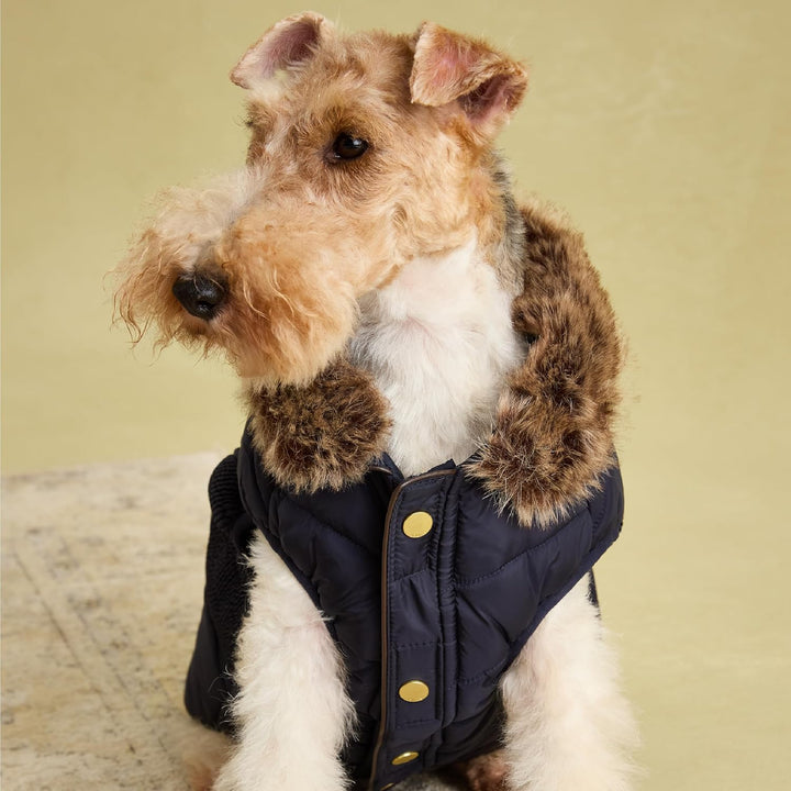 Rosewood Joules Cherington Hundemantel für Hunde, Grösse M marineblau mittel, marineblau mittel