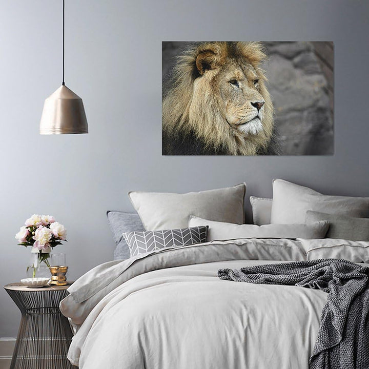 Feeby, Wandbild - 1 Teilig - 80x120 cm, Leinwand Bild Leinwandbilder Bilder Wandbilder Kunstdruck, L