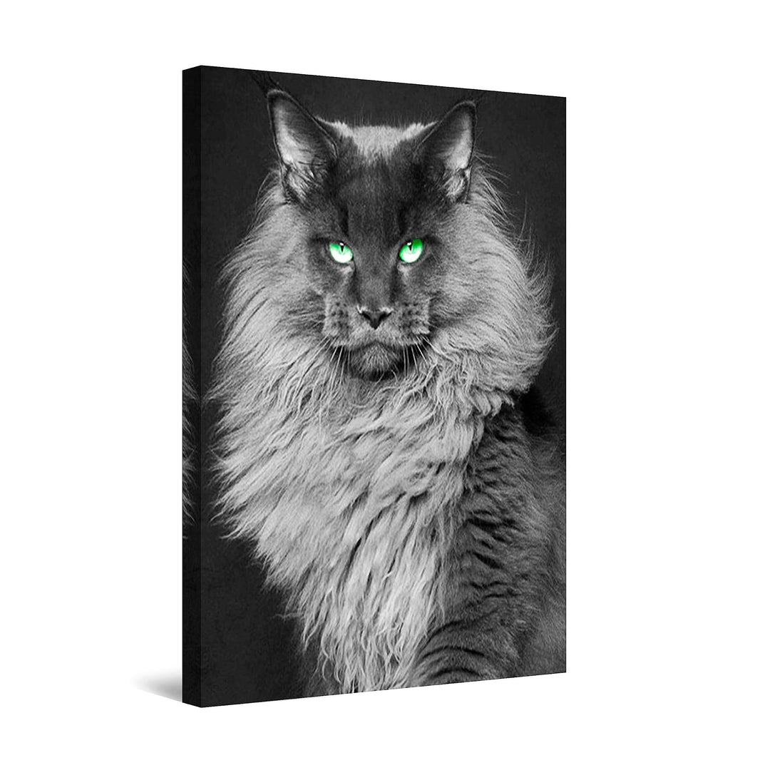 Startonight Leinwandbilder Schwarz und Weiss Katze, Doppelansicht Überraschung Modernes Dekor Kunstw