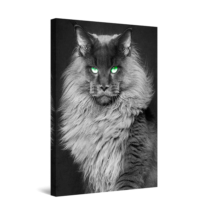 Startonight Leinwandbilder Schwarz und Weiss Katze, Doppelansicht Überraschung Modernes Dekor Kunstw