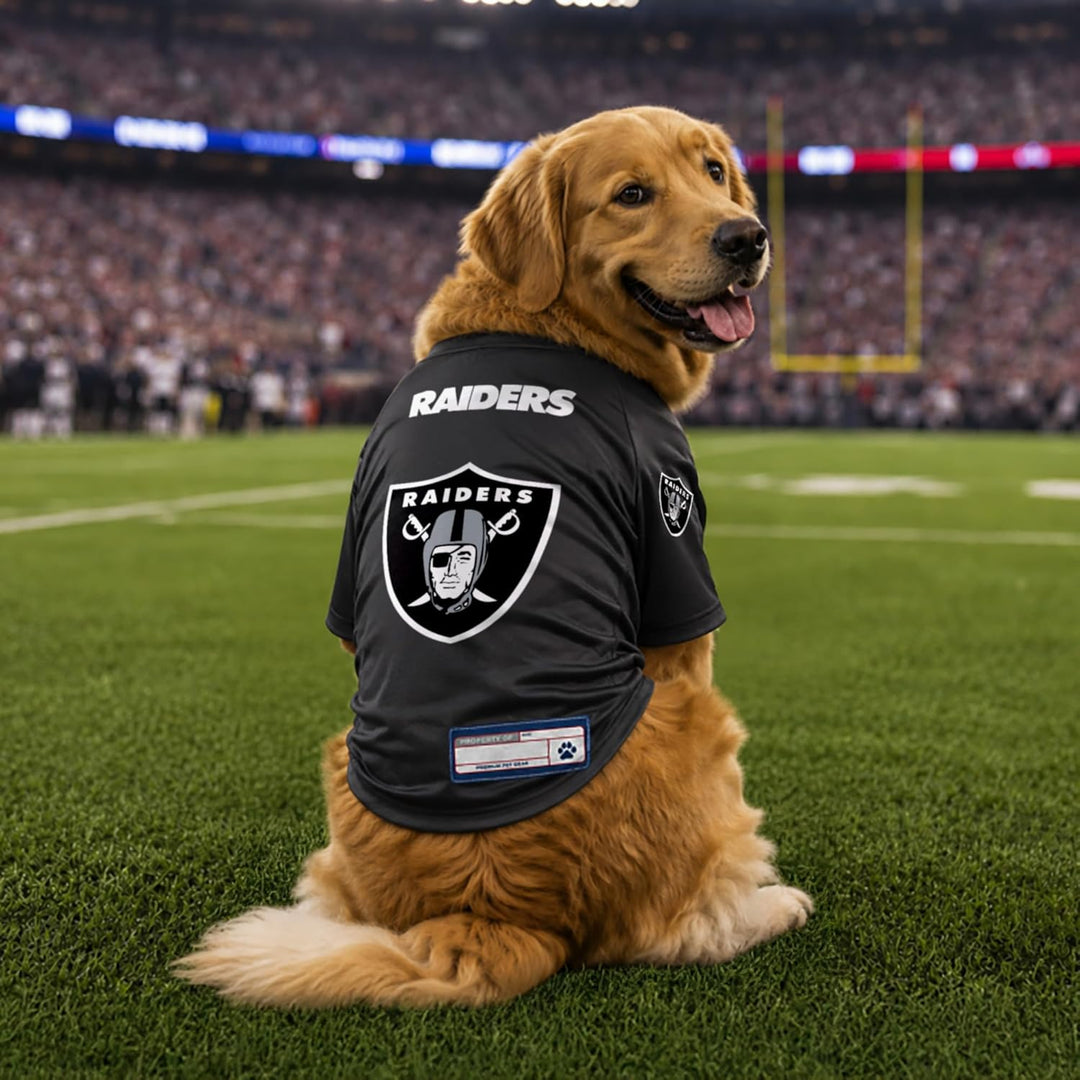 Littlearth NFL Las Vegas Raiders Stretch Pet Jersey, Team-Farbe, XS LAS VEGAS RAIDERS XS (Neck: 9",