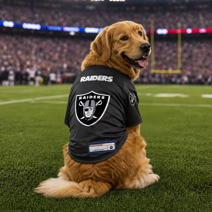 Littlearth NFL Las Vegas Raiders Stretch Pet Jersey, Team-Farbe, XS LAS VEGAS RAIDERS XS (Neck: 9",