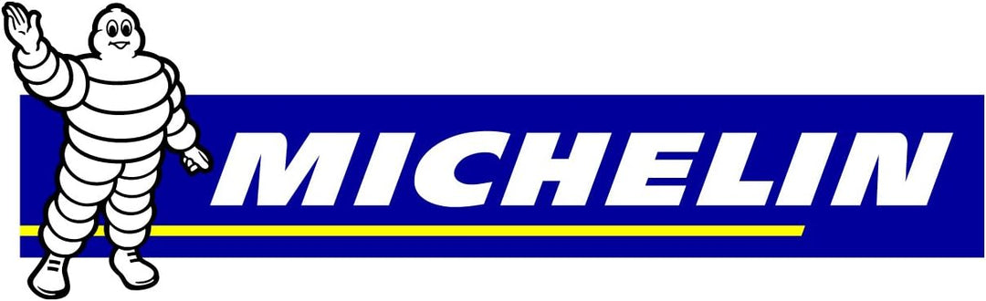 Michelin 9503 Michelin Doppel-Fussluftpumpe, 7 bar