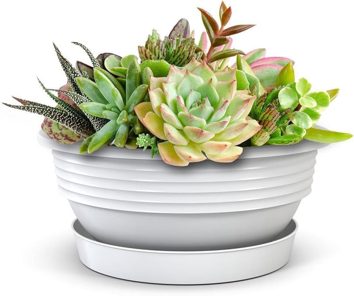 Pflanzschale mit Untersetzer im 3er Set in Weiss 40 cm Durchmesser grosse runde Blumenschalen aus Ku