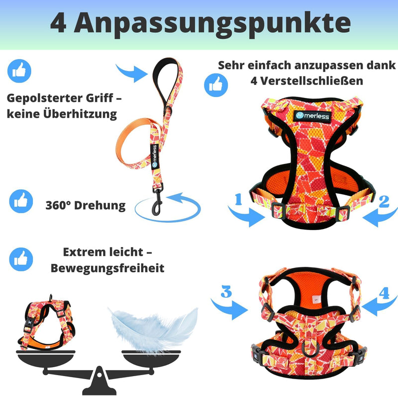 Hundegeschirr für kleine Hunde Welpen und Katzen (3-7,5 kg) Brustgeschirr ohne Zug Gepolstert Atmung