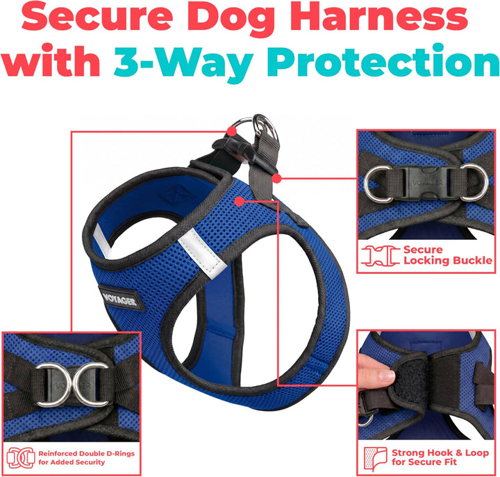 Best Pet Supplies Voyager Step-In Air Hundegeschirr – Allwetter-Netz-Weste für kleine und mittelgros