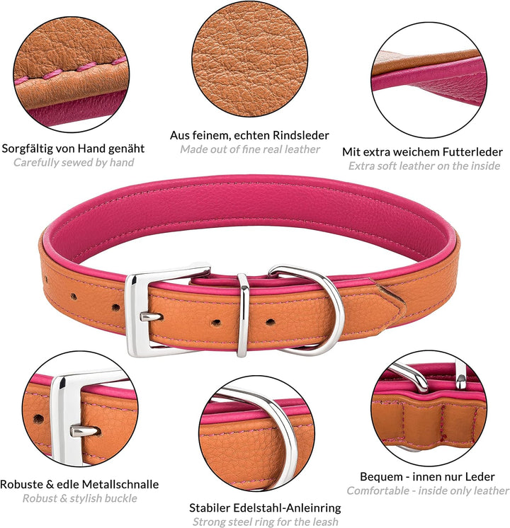 Schnüffelfreunde Lederhalsband Hund - Fun Line (XXL - 55-65cm, Beige-Pink) XXL Beige-Pink, XXL Beige