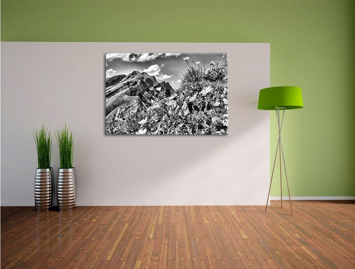 Pixxprint Blumenwiese im Frühling / 100x70cm Leinwandbild bespannt auf Holzrahmen/Wandbild Kunstdruc