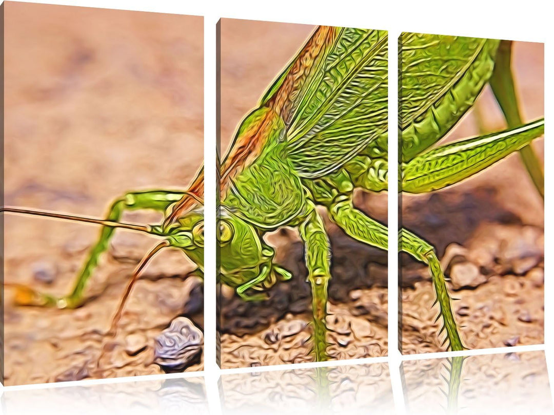 schöne Heuschrecke NewArt 3-Teiler Leinwandbild 120x80 Bild auf Leinwand, XXL riesige Bilder fertig