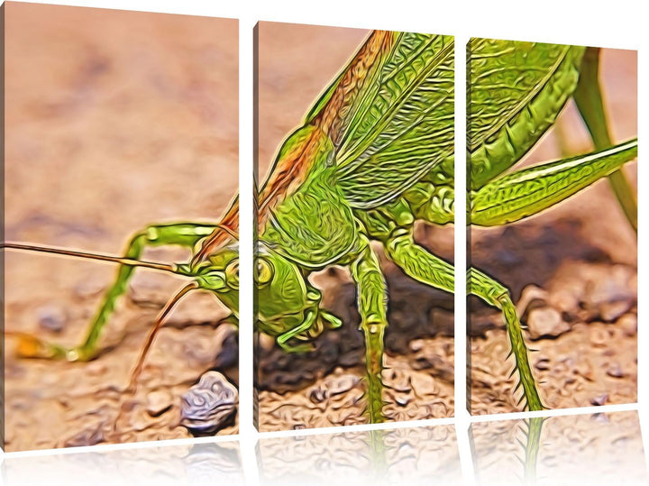 schöne Heuschrecke NewArt 3-Teiler Leinwandbild 120x80 Bild auf Leinwand, XXL riesige Bilder fertig
