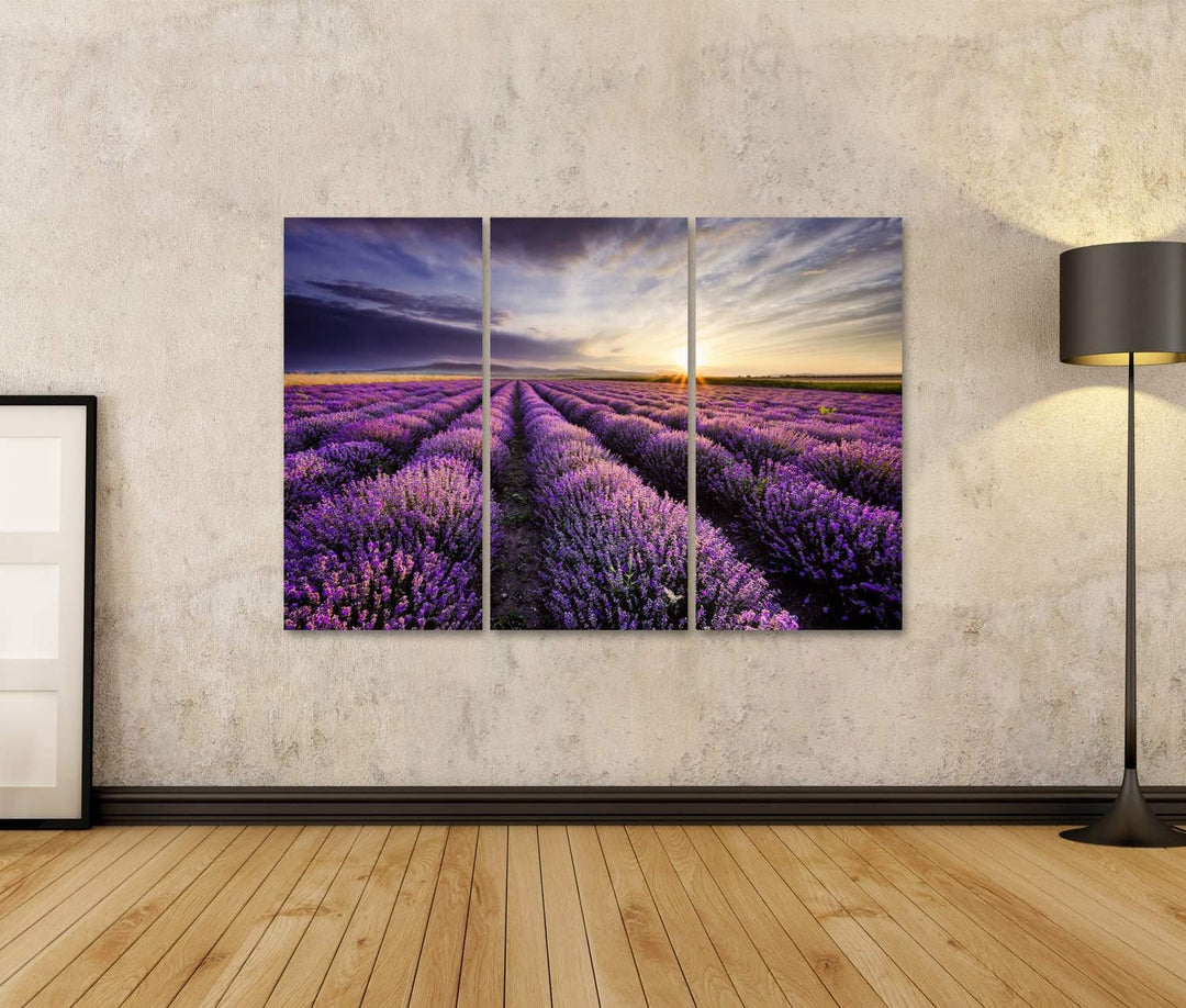 islandburner Bild auf Leinwand Lavendel Sonnenaufgang Dramatische Wolken Über Feld Bilder Wandbilder