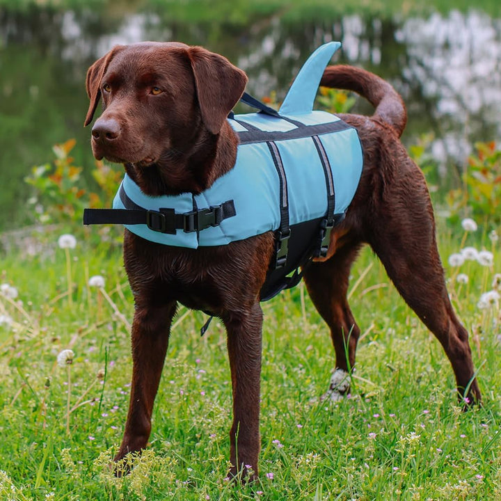 Nobby Hunde Schwimmweste Sharky - verstellbare Brust- und Bauchgurte - Schwimmhilfe - Rettungsweste