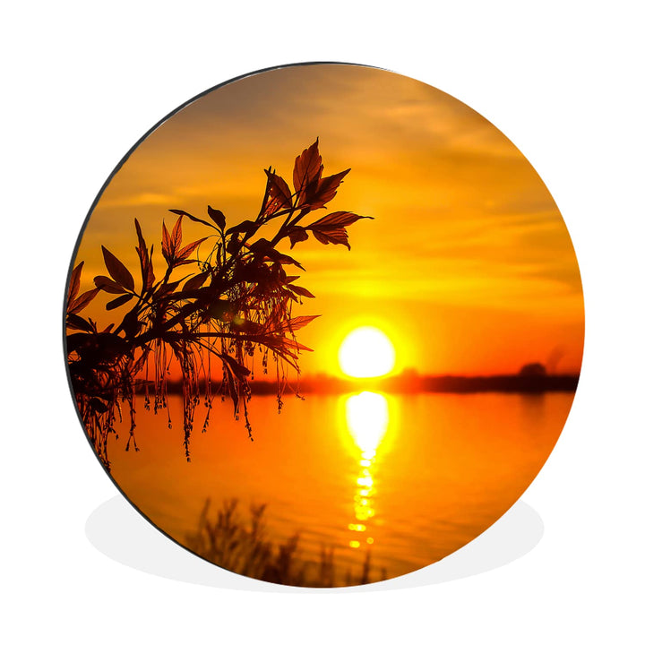 MuchoWow Wandbild Rund Wanddeko Deko Wohnzimmer Bilder 30x30 cm Sonnenuntergang - Wasser - Pflanzen