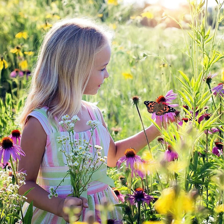 Schmetterlingszucht-Set für Kinder/Erwachsene | Ideal für zuhause | Heimische Schmetterling züchten