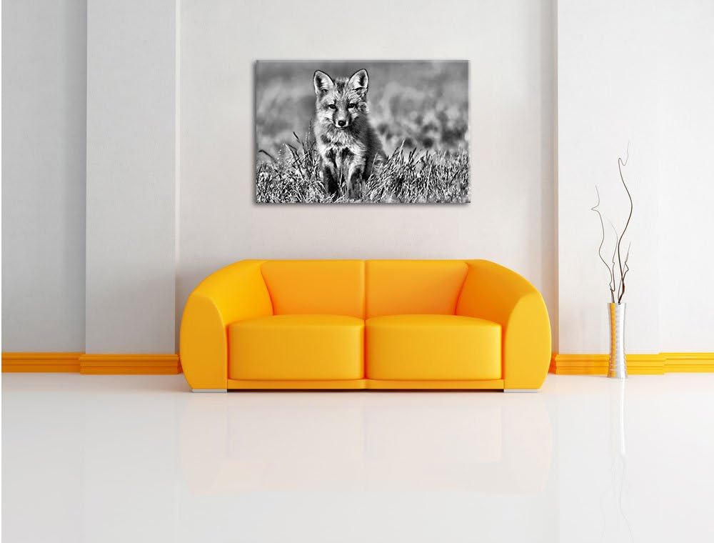 Monocrome, Kleiner Fuchs , Format: 100x70 auf Leinwand, XXL riesige Bilder fertig gerahmt mit Keilra