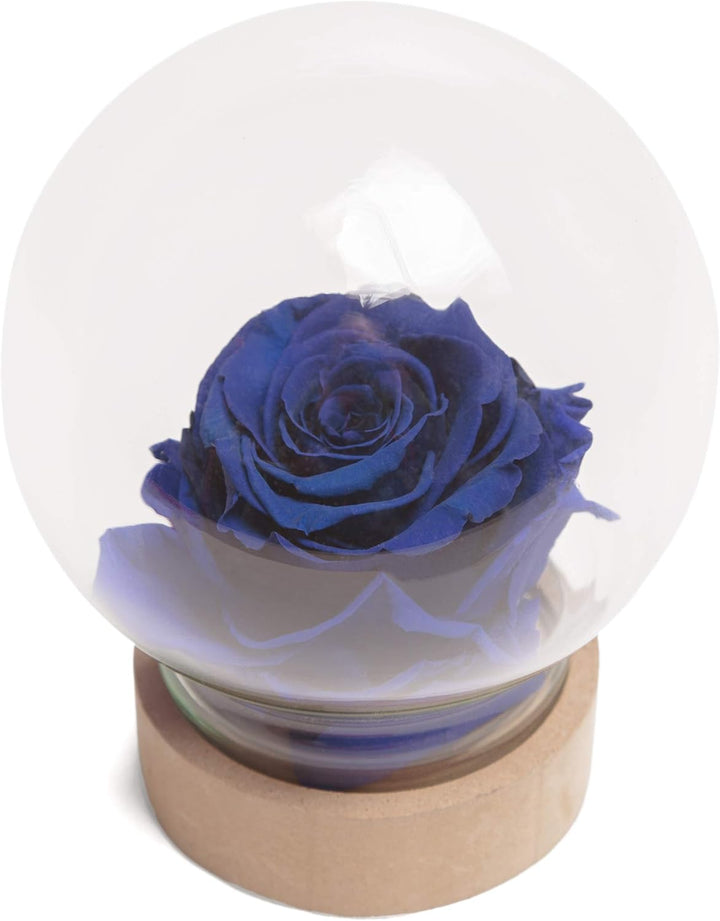 Infinity Rose im Glas die Schöne und das Biest echte langlebige Rose in Glaskugel (Large, Blau) Larg