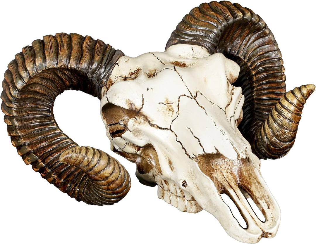 Pacific Giftware Wanddeko Widder Totenkopf mit Hörnern - Trophäe Baphomet Wandrelief Schädel Totensc
